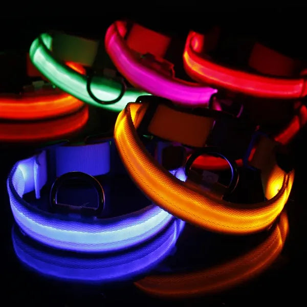 Oplaadbare LED Hondenhalsband