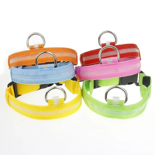 Oplaadbare LED Hondenhalsband