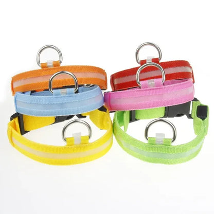 Oplaadbare LED Hondenhalsband