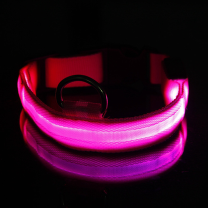 Oplaadbare LED Hondenhalsband