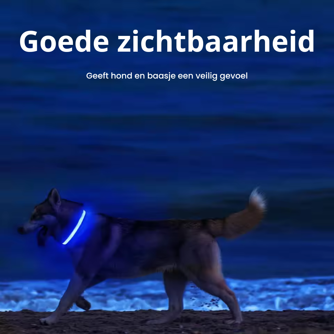 Oplaadbare LED Hondenhalsband