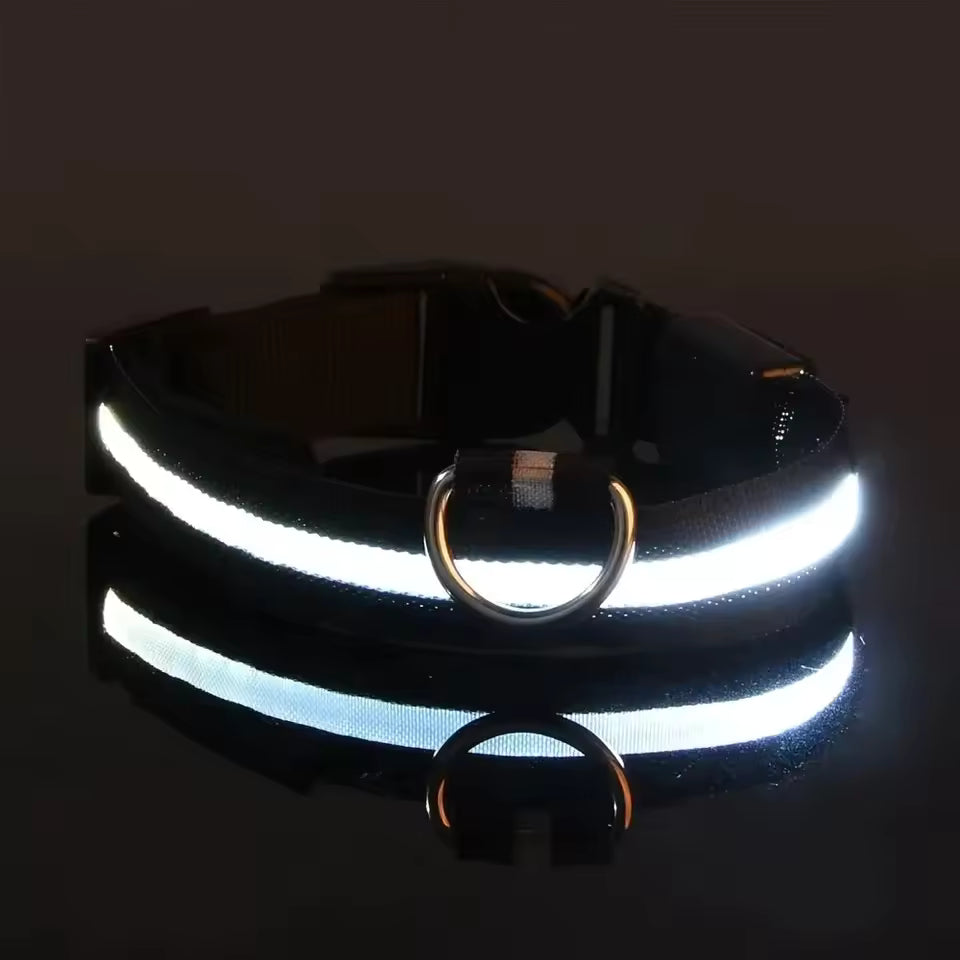 Oplaadbare LED Hondenhalsband
