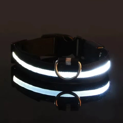 Oplaadbare LED Hondenhalsband