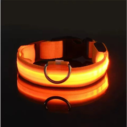 Oplaadbare LED Hondenhalsband